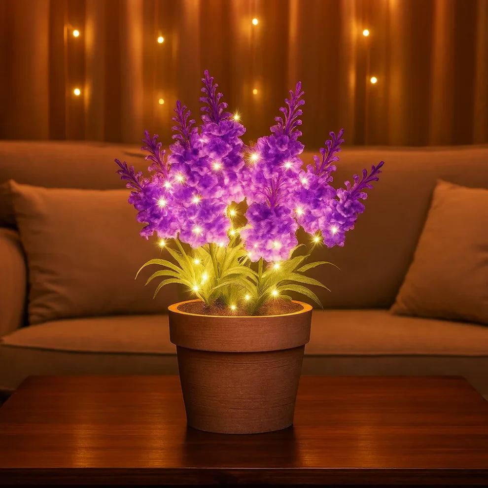 Serenique – Lampa Lawendowa Obfitość