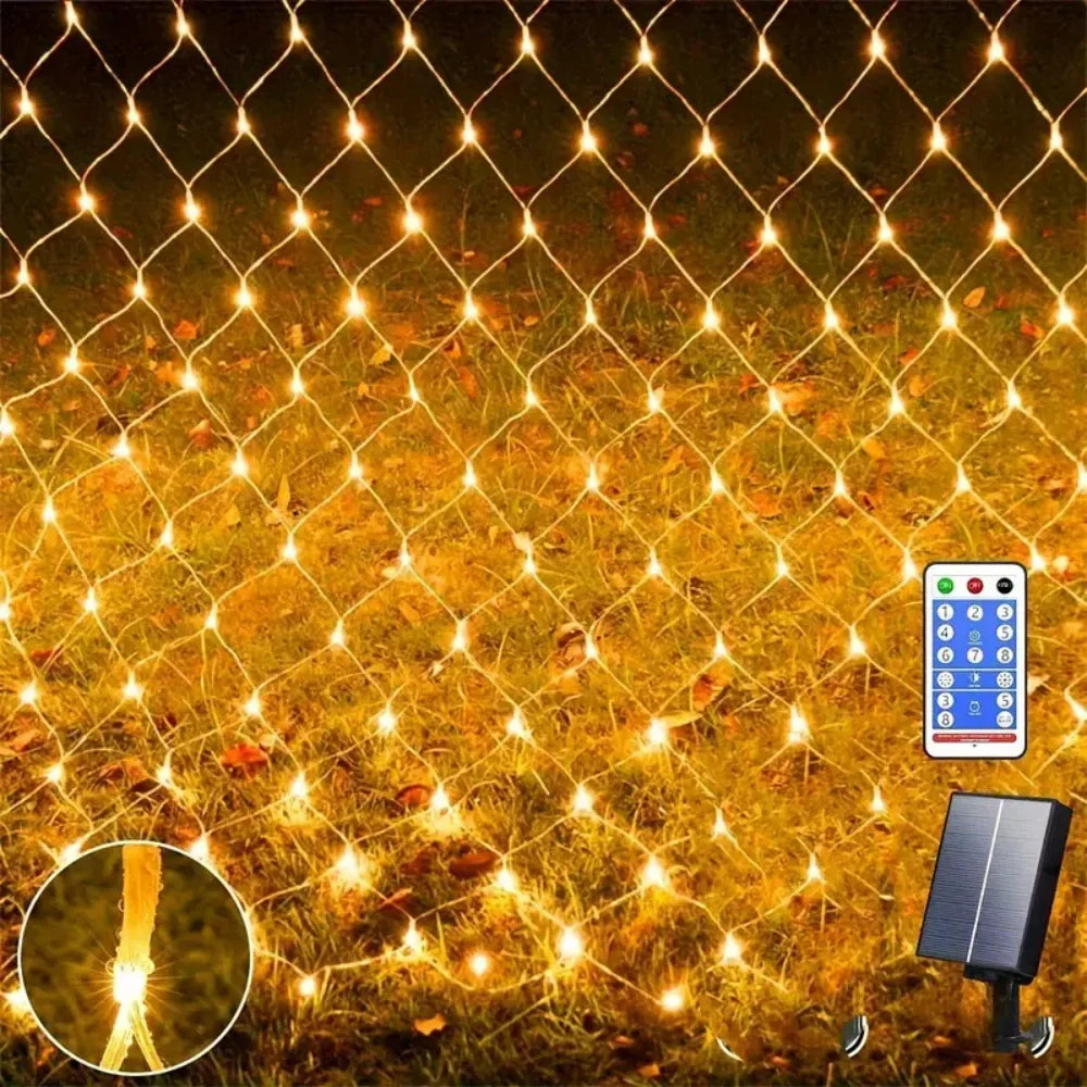 Novora – Solarna Siatka Świetlna