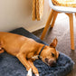 PawLuxe – Ortopedyczne Legowisko z Pianki Memory dla Psów