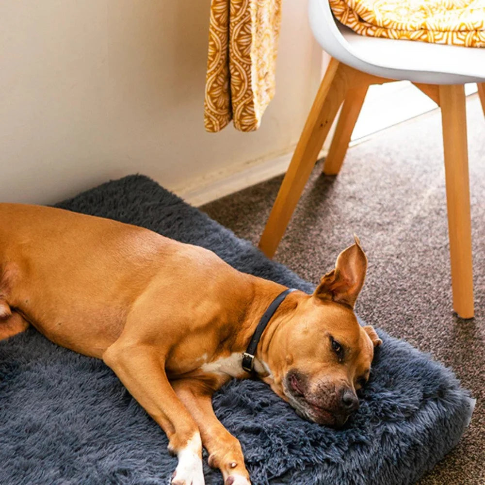 PawLuxe – Ortopedyczne Legowisko z Pianki Memory dla Psów