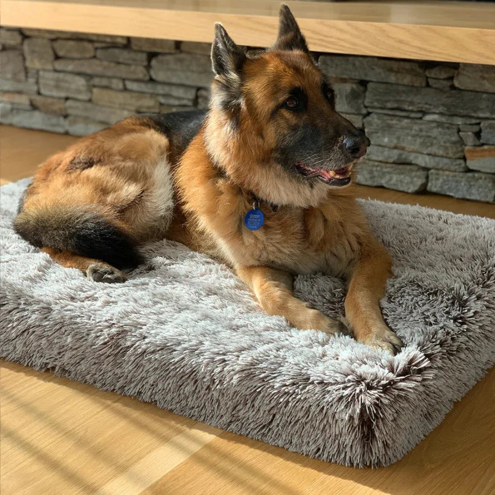 PawLuxe – Ortopedyczne Legowisko z Pianki Memory dla Psów