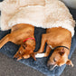 PawLuxe – Ortopedyczne Legowisko z Pianki Memory dla Psów