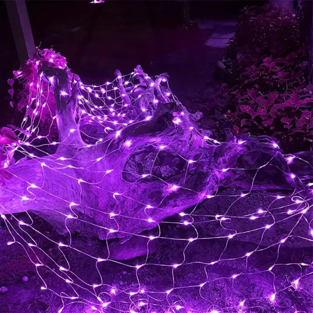 Novora – Solarna Siatka Świetlna