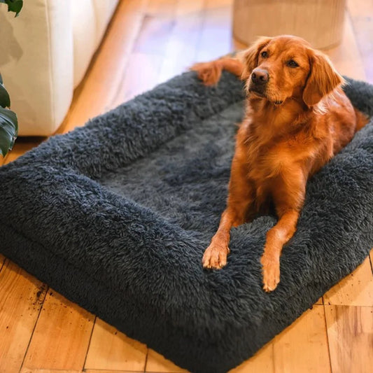 PawLuxe – Ortopedyczne Legowisko z Pianki Memory dla Psów