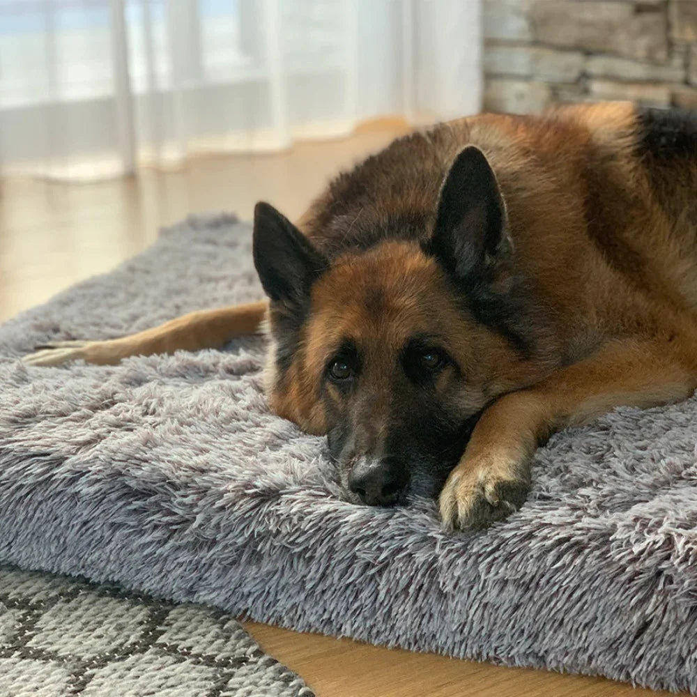 PawLuxe – Ortopedyczne Legowisko z Pianki Memory dla Psów