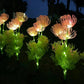FloraGlow – Światło do ogrodu wróżek 4